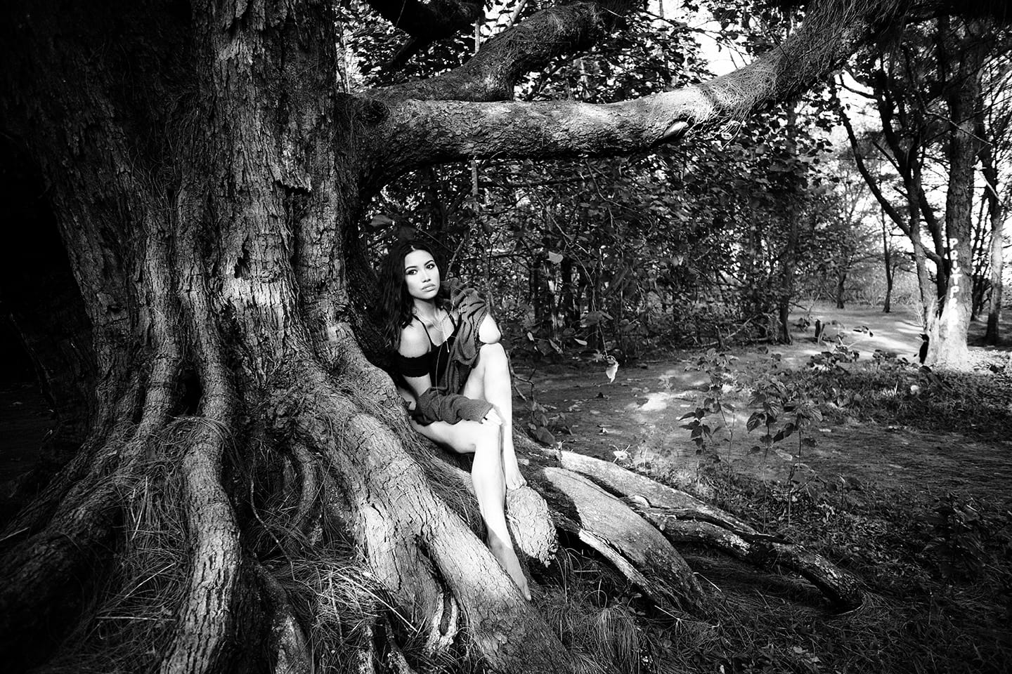 Gabby — Forest Editorial (Archive)